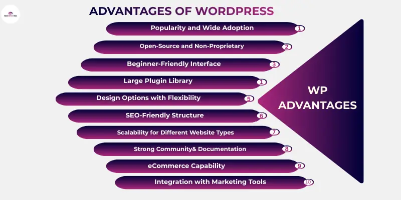 Advantages of WordPress-infographic