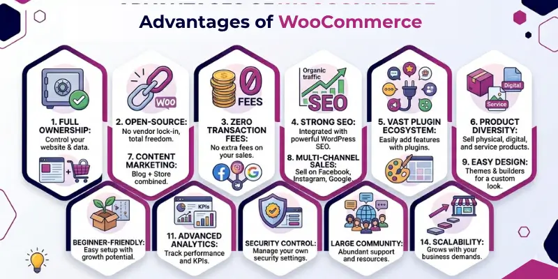 Advantages of WooCommerce - infographic