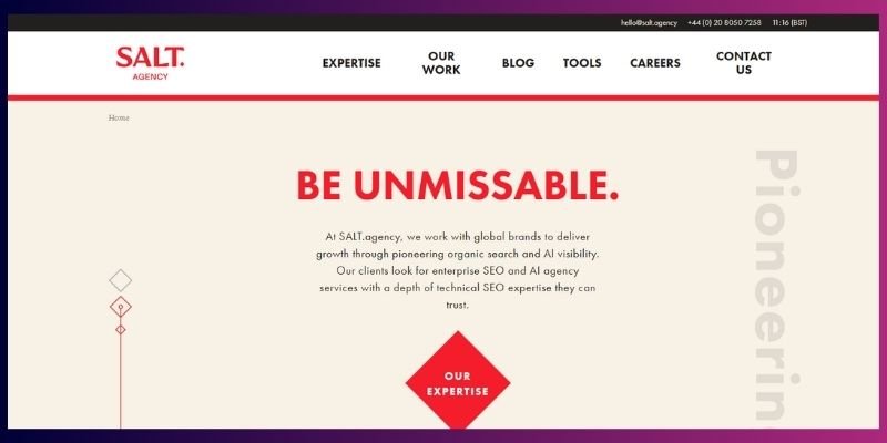 SALT.agency - International seo agency