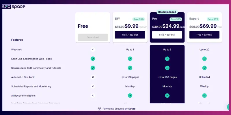 How Much Does SEOSpace Cost & Is It Worth It? - SeoSpace price plane