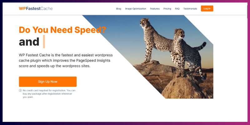WPFastestCahe homepage screenshot