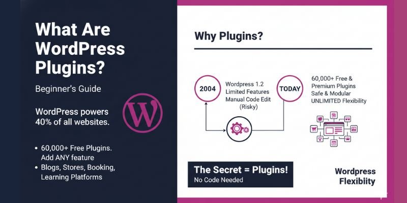 What are WordPress Plugins? Beginner’s Guide