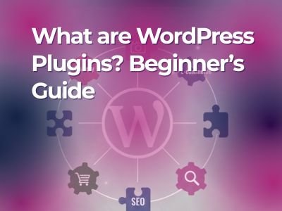 What are WordPress Plugins? Beginner’s Guide