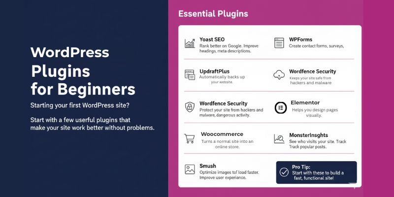 WordPress Plugins for Beginners