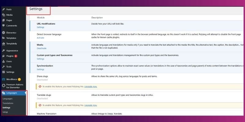 polylang multi lingual plugin settings