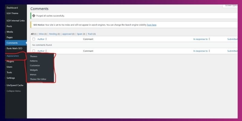 worpress dashboard/ appearance overview
